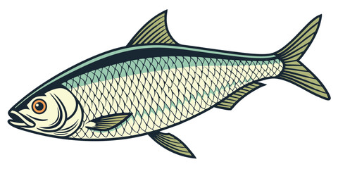 Realistic Vector Herring Fish Illustration for Marine Life and Seafood Themes