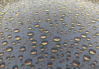 Close-up of Water Droplets on Metallic Surface, Reflections of Golden Light.