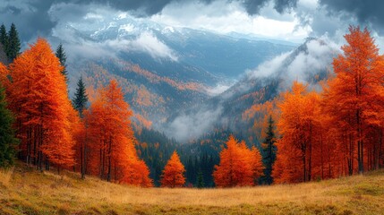 Fototapeta premium Autumnal mountain landscape, vibrant foliage, misty valley, scenic view, nature photography