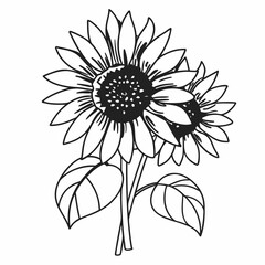 black and white flower