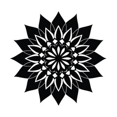 black and white snowflake