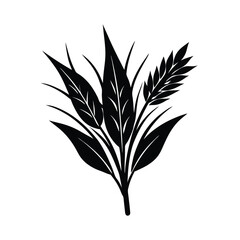 silhouette of a plant