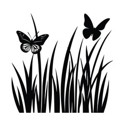 butterfly and flowers