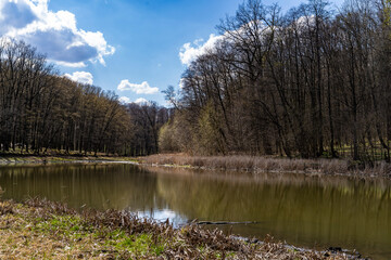 Forest lake with muddy water surrounded by dry grass and trees under a cloudy sky. Nature landscape...