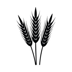 wheat isolated on white background