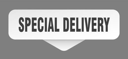 special delivery sticker. special delivery sign isolated on gray background