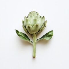 Obraz premium A single artichoke in close-up, isolated on a white background. Featuring intricate leaves and green color