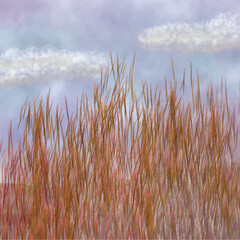 Textured Tall Grass Vector - Natural Field Scene for Serene and Atmospheric Designs