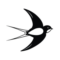 vector illustration of a bird barn swallow