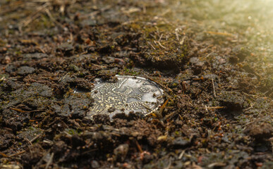 An ancient coin with a double-headed eagle sticks out of the ground.Find a silver coin in the field.A random treasure trove.