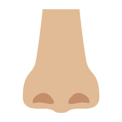 Nose