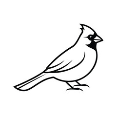 vector illustration of a northern cardinal bird