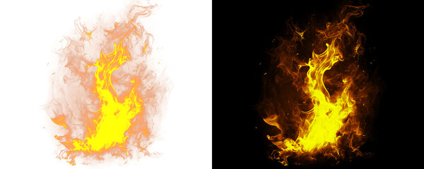 Blazing Fire Effect with Dramatic Flame Realism Isolated on A Transparent or White Background