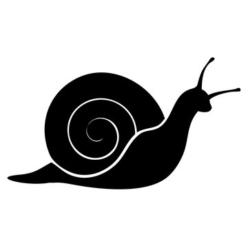 recommend clip art: animal snail silhouette vector