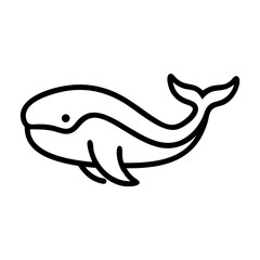 A dolphin