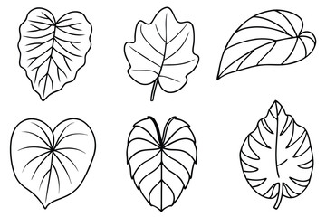 Ear Leaf Line Art Illustration for Creative Design and Artwork 