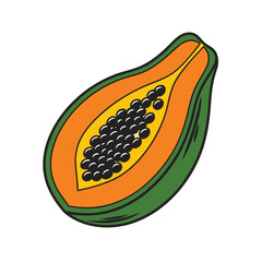 Papaya fruit vector on white background, Food vector illustration