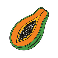 Papaya fruit vector on white background, Food vector illustration