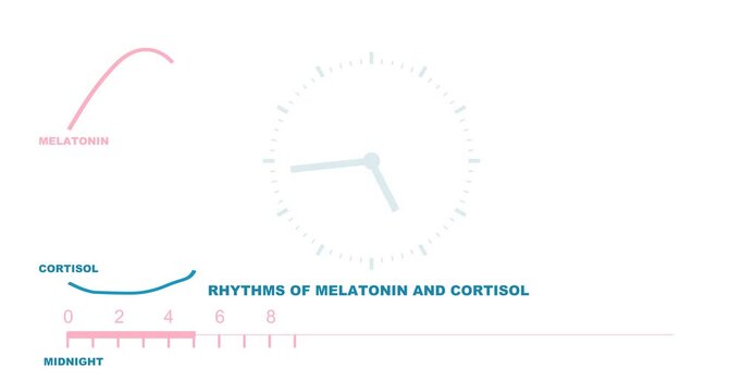 Fluctuation of the hormone cortisol and melatonin concentration in humans during the course of a day. Circadian secretion