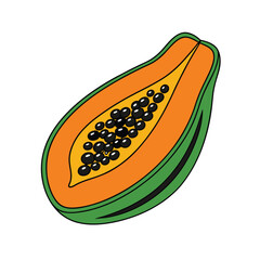 Papaya fruit vector on white background, Food vector illustration