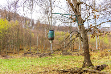 A feeder for wild animals hanging from a tree