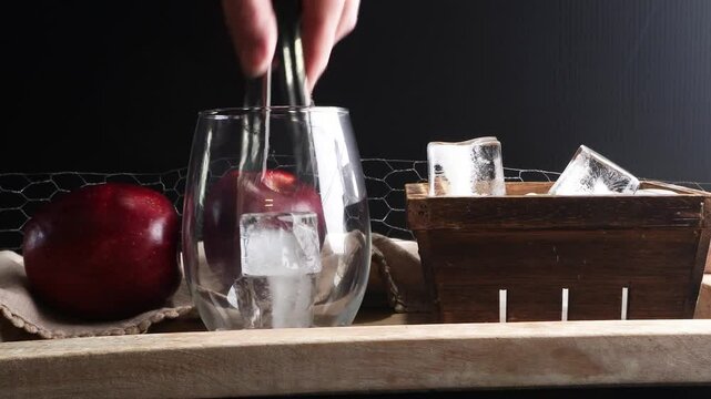 Making the Bess Knees Cocktail with gin, honey, club soda, lemon juice and lots of ice.  A delicious adult beverage for hot summer days.  Mixing up cocktails at a party.