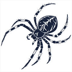 silhouette spider image on white background