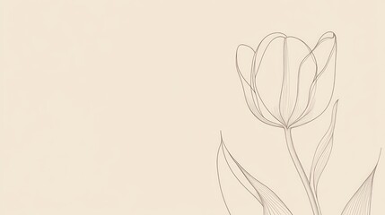 Beige background tulip line art design (1)