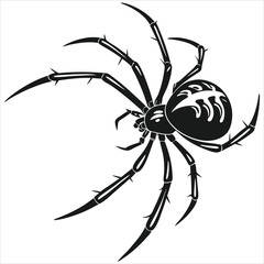 silhouette spider image on white background