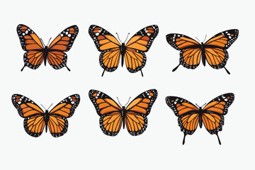 Vibrant orange monarch butterflies illustration 
