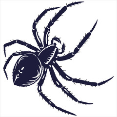 silhouette spider image on white background