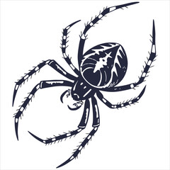 silhouette spider image on white background