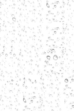 transparent raindrops on a transparent background, close-up, png, isolated