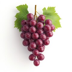 Fototapeta premium Ripe red grapes on a vine symbolize harvest celebrations and the joy of autumn gatherings, perfect for festive decor