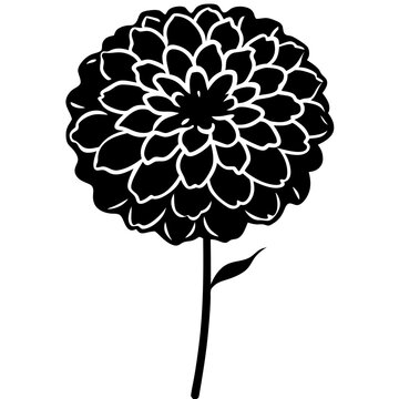 recommend clip art: A clean vector silhouette of a zinnia
