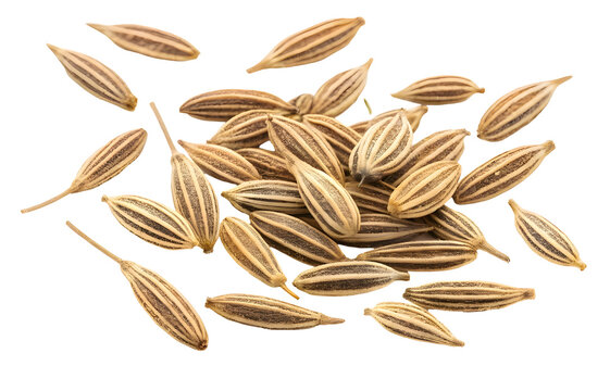 Dry cumins on a white background 