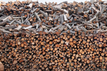 pile of firewood