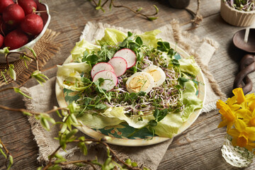 A plate of vegetable salad with radish sprouts and green pea microgreens in spring