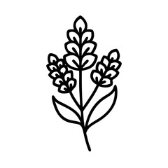 astilbe flower vector icon, simple black outline line icon of astilbe flower, flower vector line art icon