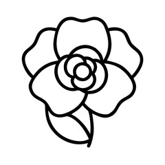 ranunculus flower vector icon, simple black outline line icon of ranunculus flower, flower vector line art icon