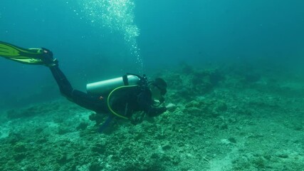 Diver discovers underwater expanse with deep interest