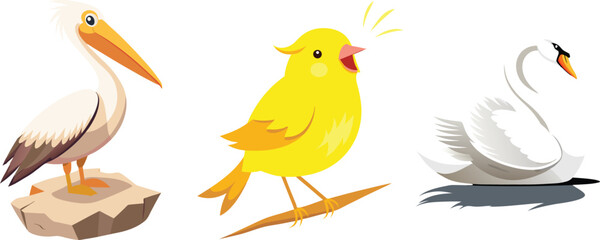 Swan, Pelican & Canary – Beautiful Birds in Nature, Wildlife & Avian Photography