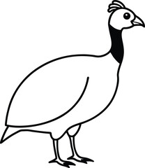 helmeted guinea fowl vector line art.