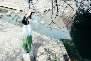 桜と女性と川