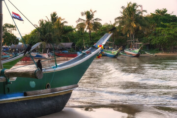 Obraz premium Traditional fishing boats in the port of Galle, Sri Lanka.