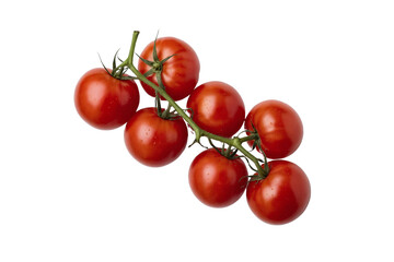 A bunch of ripe juicy red tomatoes on the vine isolated against a transparent background
