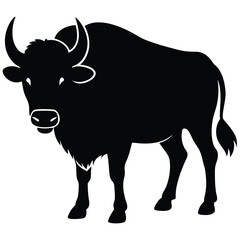 Bison buffalo silhouettes set, large pack of vector silhouette design, isolated white background, Buffalo Silhouette, silhouette or illustration of a cow or buffalo, American bison black silhouette.