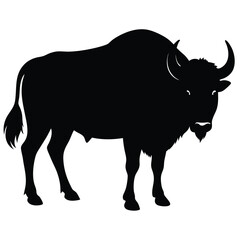 Bison buffalo silhouettes set, large pack of vector silhouette design, isolated white background, Buffalo Silhouette, silhouette or illustration of a cow or buffalo, American bison black silhouette.