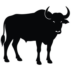 Bison buffalo silhouettes set, large pack of vector silhouette design, isolated white background, Buffalo Silhouette, silhouette or illustration of a cow or buffalo, American bison black silhouette.