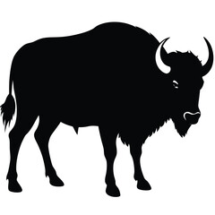 Bison buffalo silhouettes set, large pack of vector silhouette design, isolated white background, Buffalo Silhouette, silhouette or illustration of a cow or buffalo, American bison black silhouette.